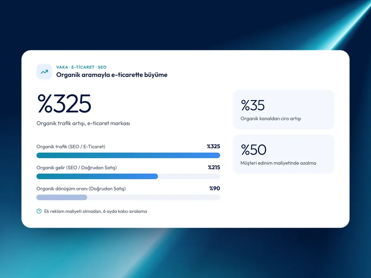 E-ticaret SEO vakaları: organik trafikte %325, organik gelirde %215 artış