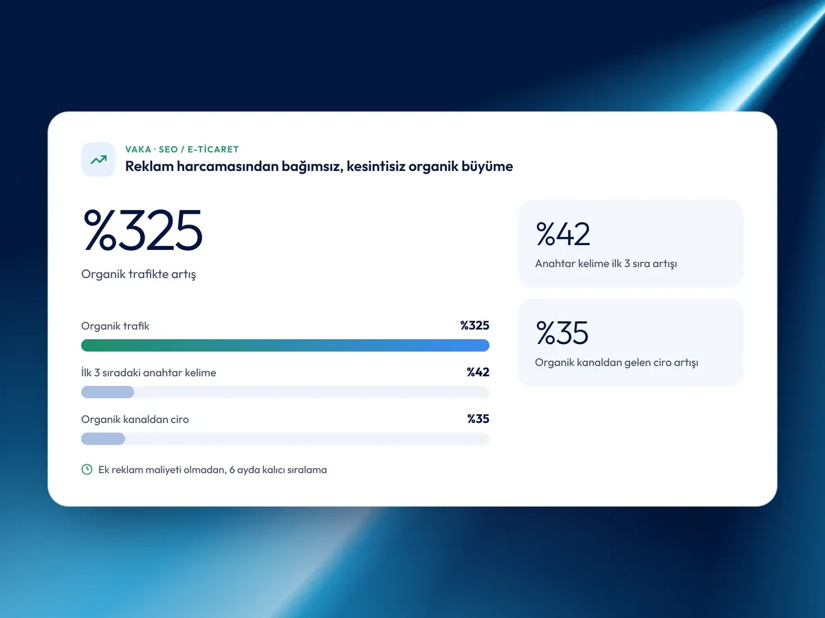 SEO e-ticaret vakası: 6 ayda organik trafikte %325 artış