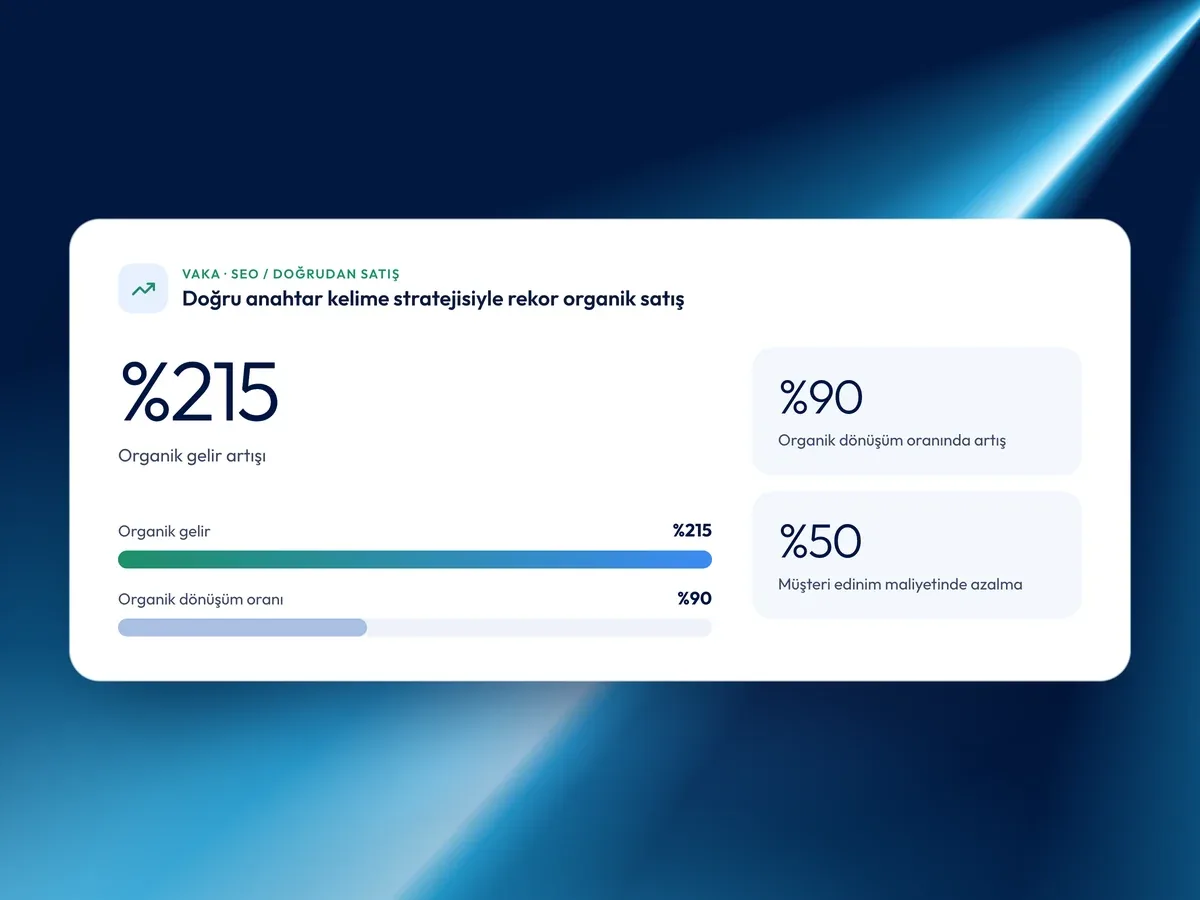 SEO doğrudan satış vakası: organik gelirde %215 artış